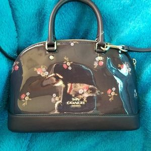 Adorable NWT Coach